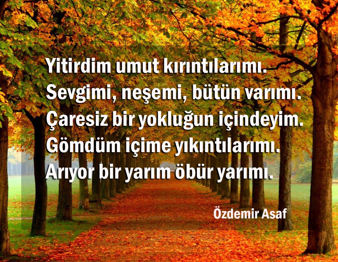 özdemir-asaf.jpg