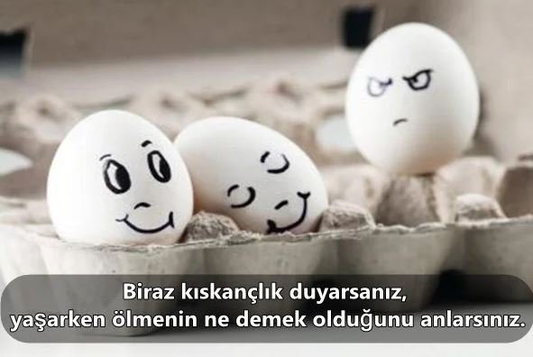 hjklj.JPG hjklj.JPG