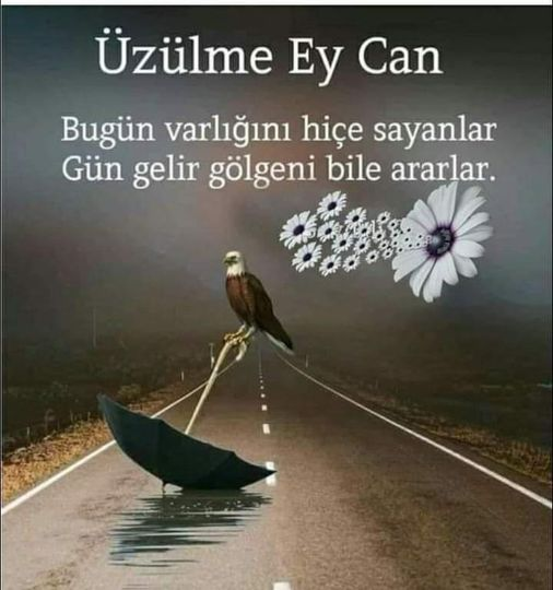 1611040154079.png