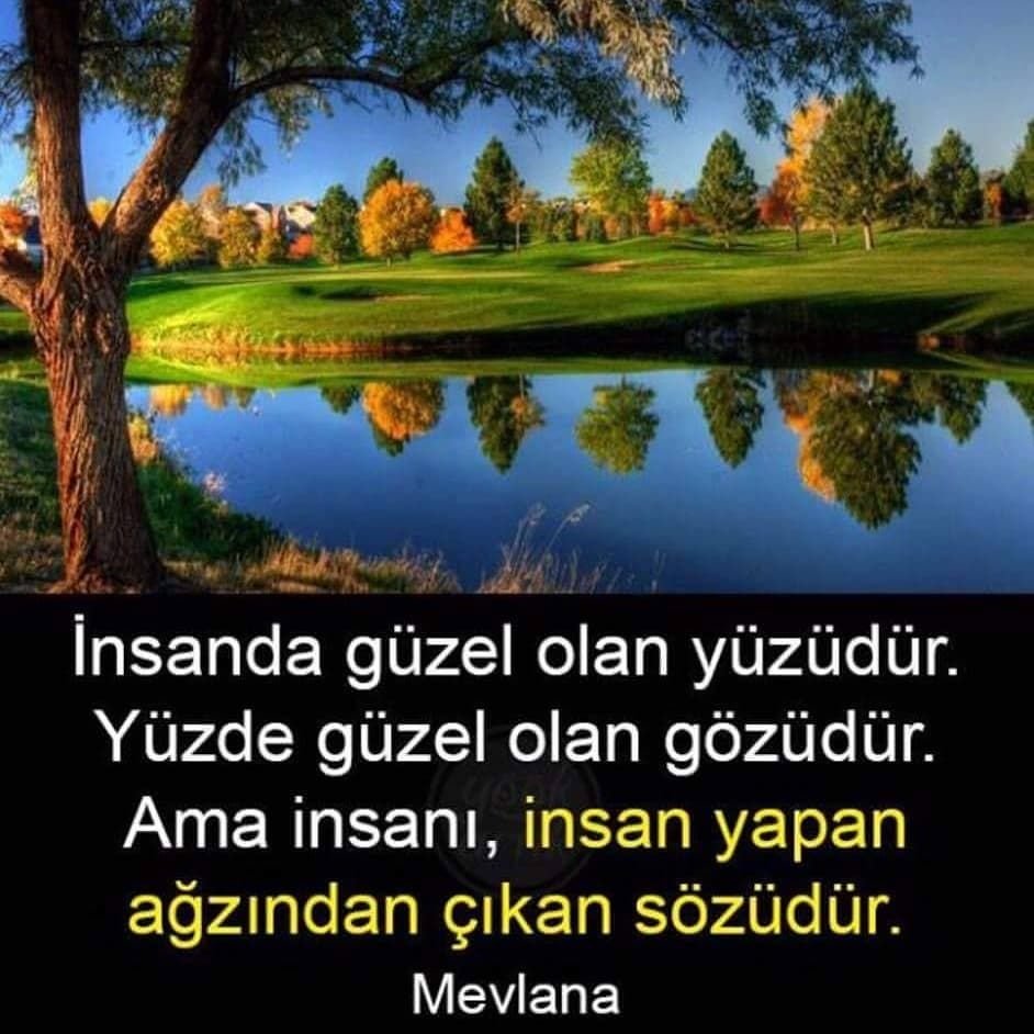 7b0d147d787965c94d455bf30c993bf5.jpg
