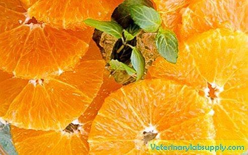 images (17).jpeg