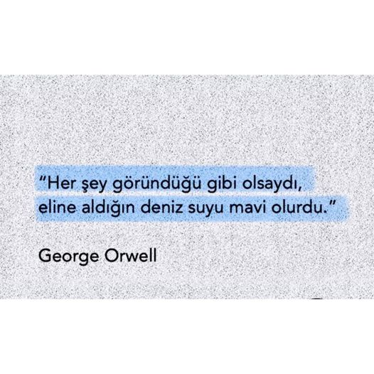 1612248543352.png