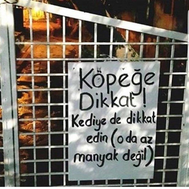 ba4e2bbd235ddc5ad839614025b6c79b.jpg