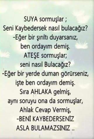 Metin Elhüseyni on Twitter.jpeg