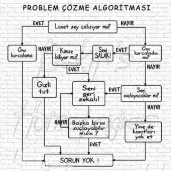 0x0-028.jpg