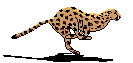 footer_logo.gif footer_logo.gif