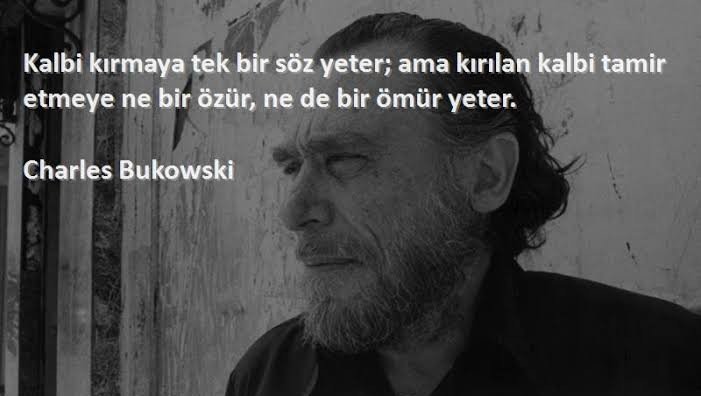 images (13)_1.jpeg