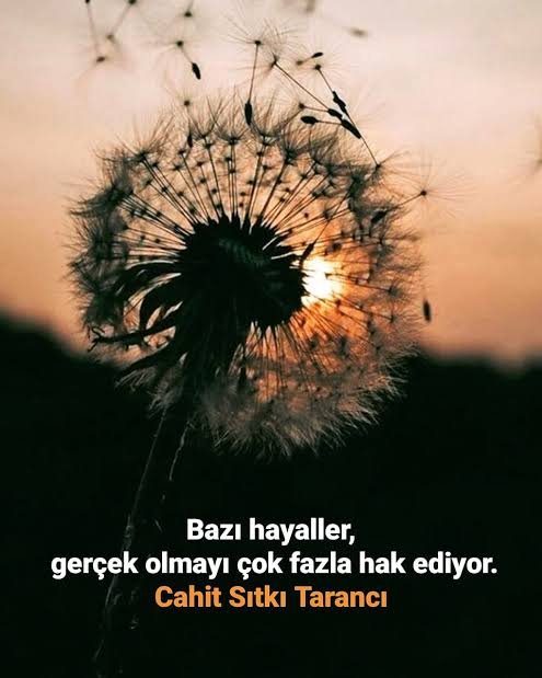 images (23).jpeg