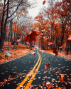 Image about autumn in Hello Fall ??? by Ina on We Heart It.png