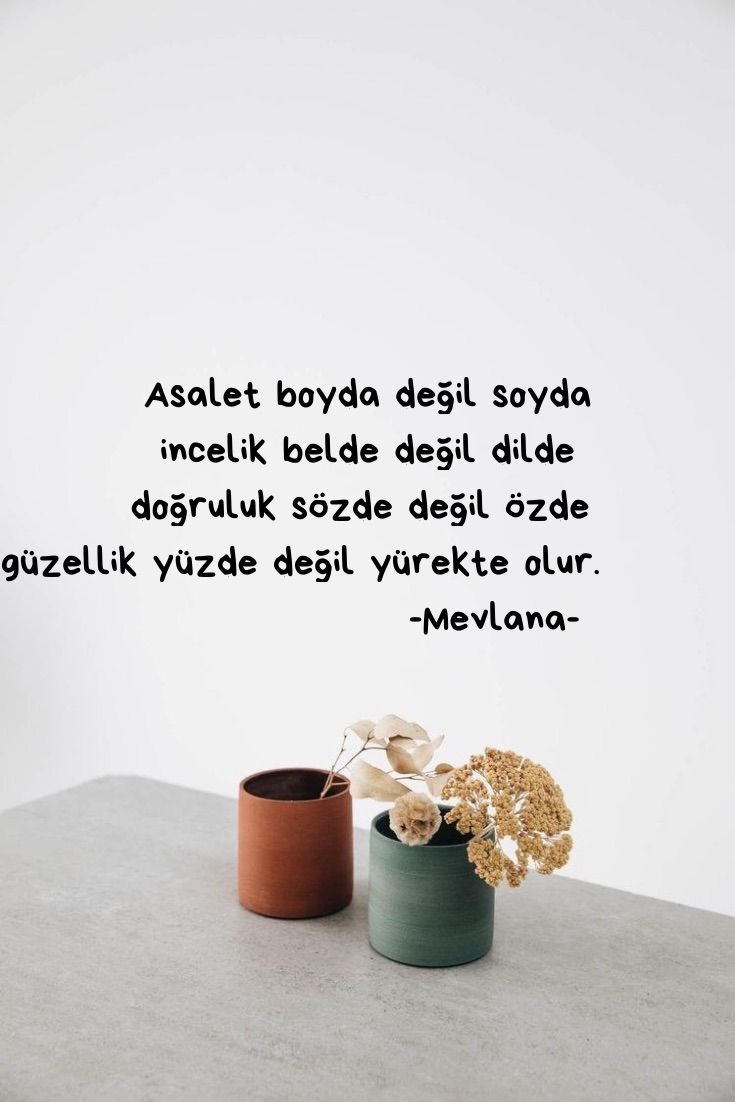 Mevlana.jpeg
