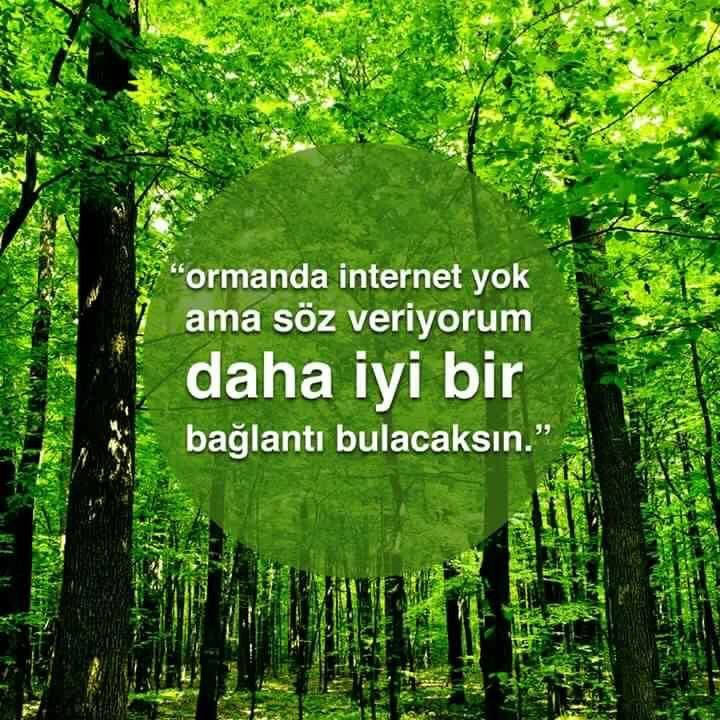 1622921642454.png
