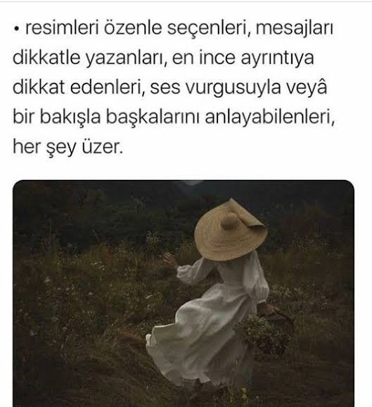 images (13).jpeg