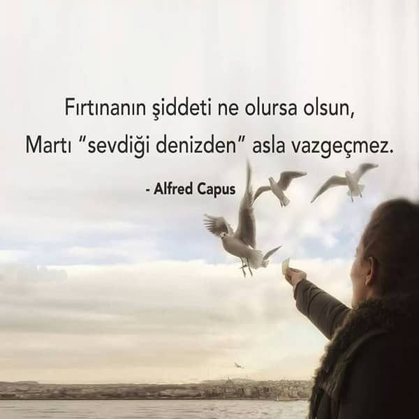 3cc71bca78c9eebca430d654bd5a76d1.jpg