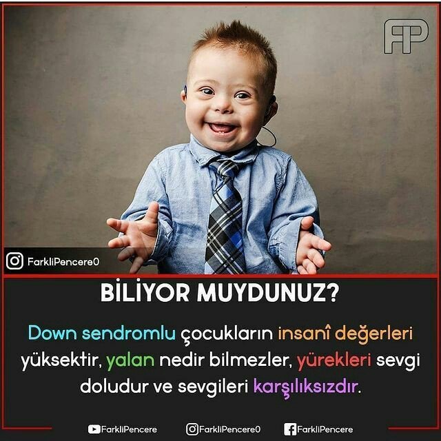 8c41887d1ef8f7f531ed699f927a7a8d.jpg