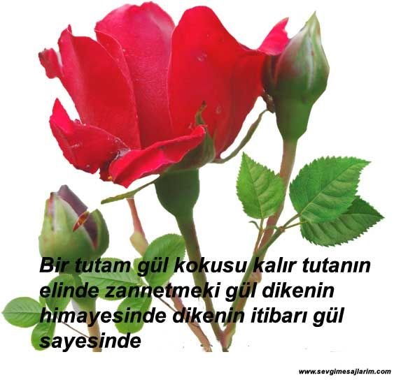 d9fe7da8130e0bd1e79cf17a60a839ee-1.jpg