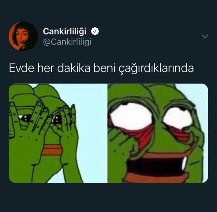 421f6326860ddb3bc25650fe87c75313.jpg