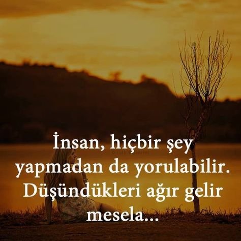 26e88f9cd08e50016bd97270dbeab52f.jpg