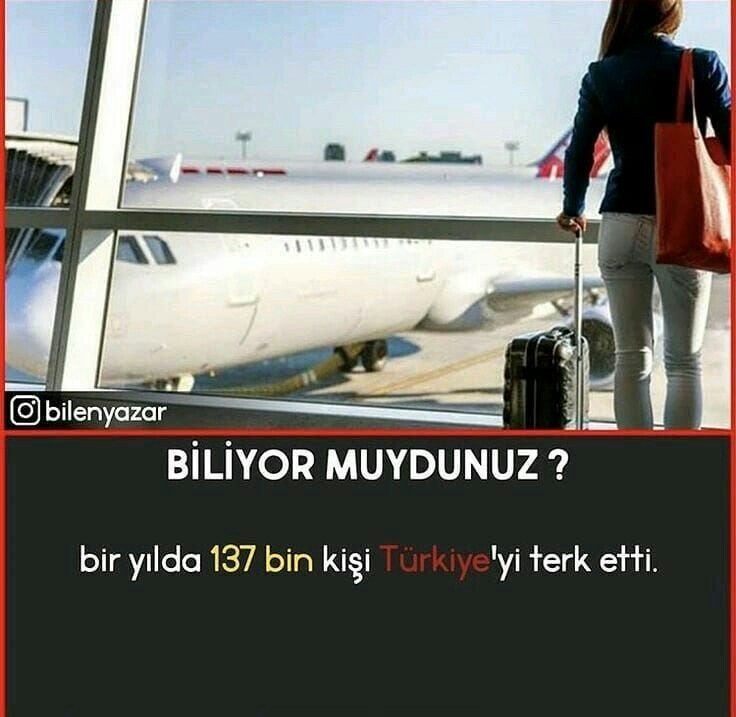 2b47215130def982fe819f28e7c9d9ec.jpg