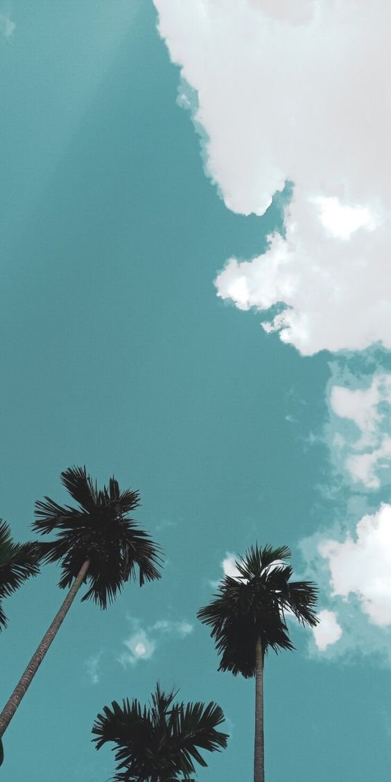 50c5a9f6f93758b0389cdd143e738c62.jpg
