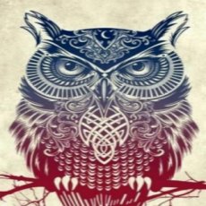 OwL-